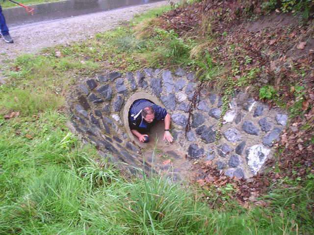 Pusche aus dem Rohr